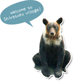 Welcome to Shiretoko Village！