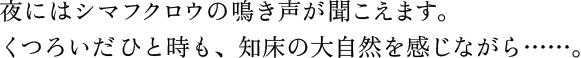 夜にはシマフクロウの鳴き声が聞こえます。くつろいだひと時も、知床の大自然を感じながら……。