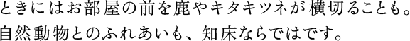 ときにはお部屋の前を鹿やキタキツネが横切ることも。自然動物とのふれあいも、知床ならではです。