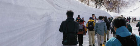 知床雪壁ウォーク