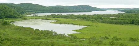 釧路湿原