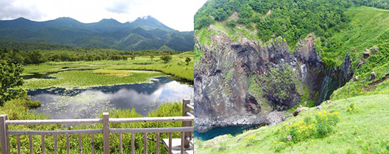 １日満喫ツアーイメージ