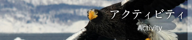 アクティビティ