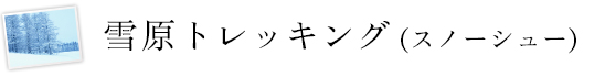 雪原トレッキング(スノーシュー)